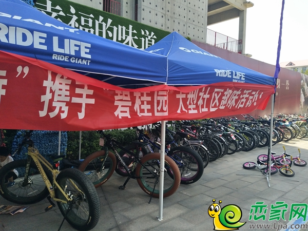 趣味騎行