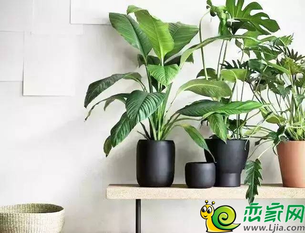 寧靜清幽