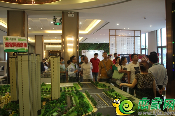 置業(yè)顧問(wèn)為網(wǎng)友詳細(xì)講解