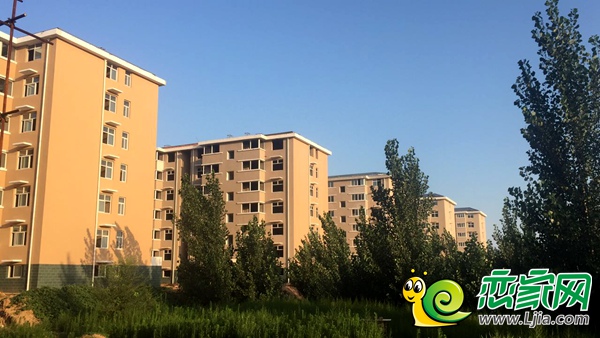 江泉富力城樓棟實景圖