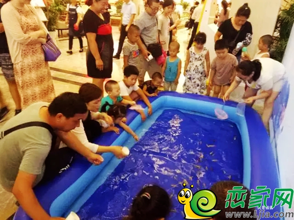 恒大龍庭人魚大作戰(zhàn)