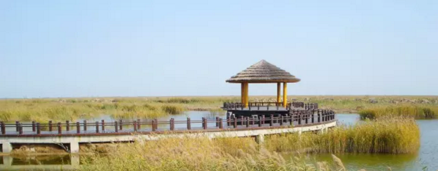 碧桂園鳳凰生態(tài)城