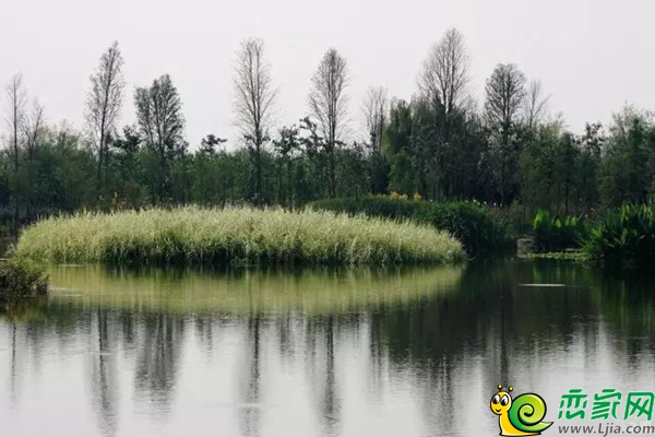 恒大綠洲