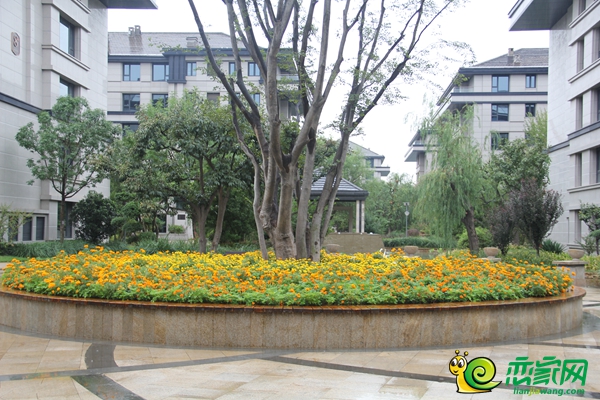 陽光東尚園林設(shè)計(jì)一角