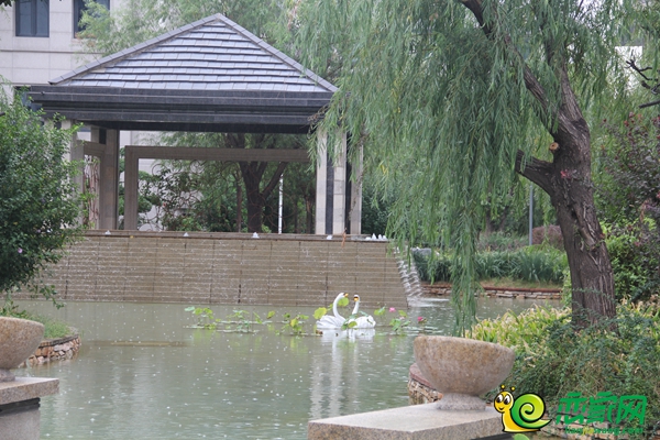陽光東尚園林設(shè)計(jì)內(nèi)湖亭臺(tái)