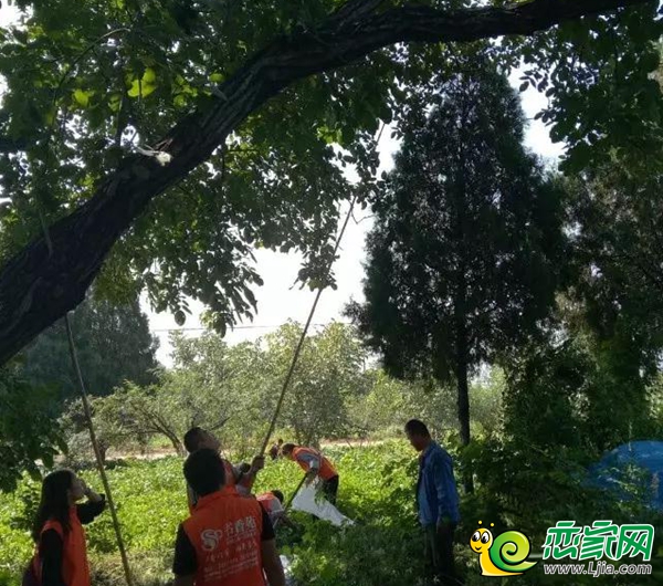 大家忙的不亦樂乎