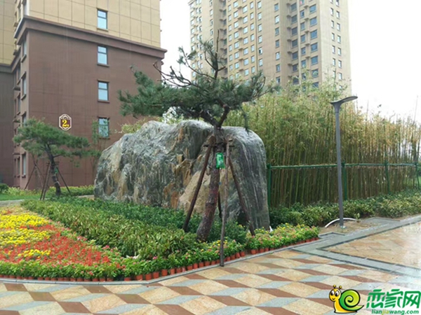 錦繡百合苑實景圖