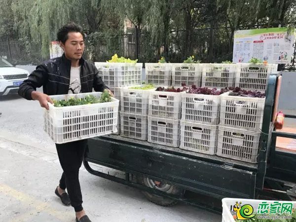 榮盛工作人員為社區(qū)搬運(yùn)綠植
