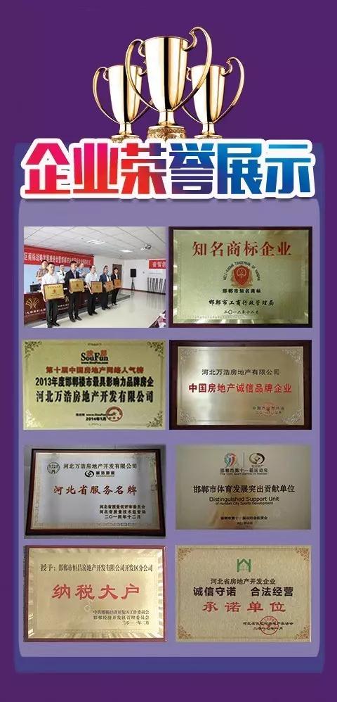 企業(yè)榮譽(yù)