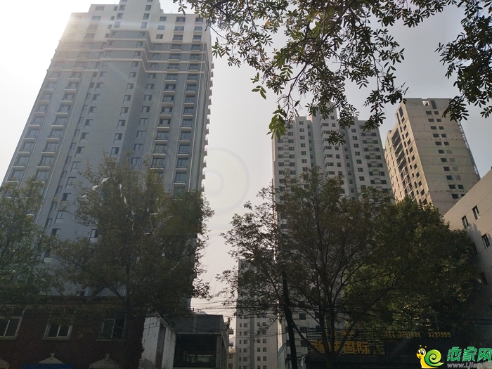 新城國際