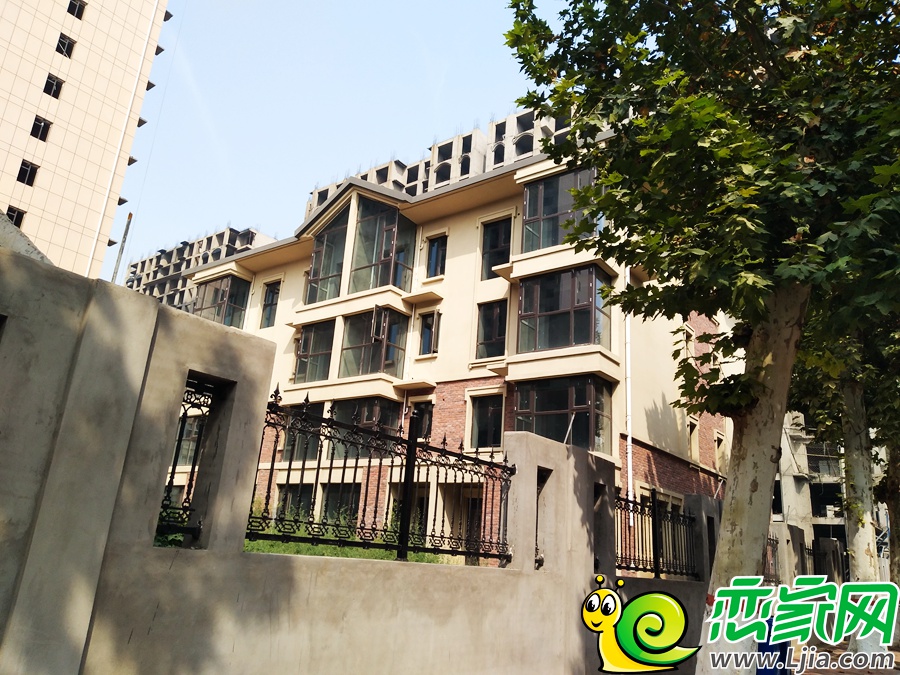 中央名都別墅實(shí)景圖