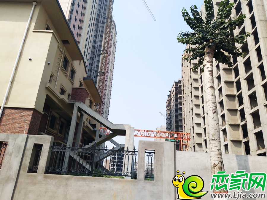 中央名都實(shí)景圖
