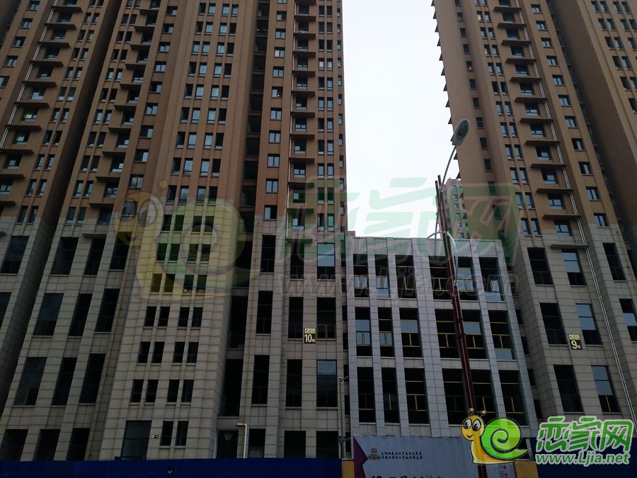 實景圖