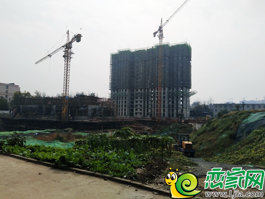 福治紫城工地施工實(shí)景圖