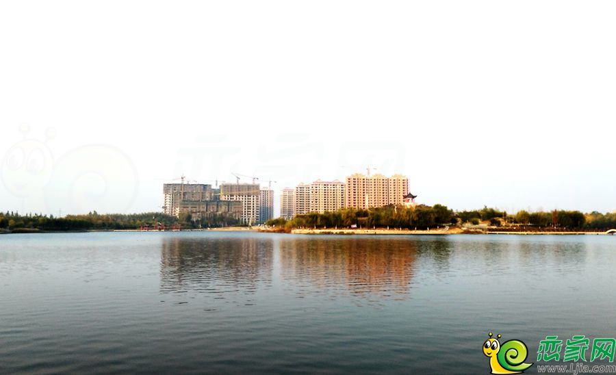 實(shí)景圖