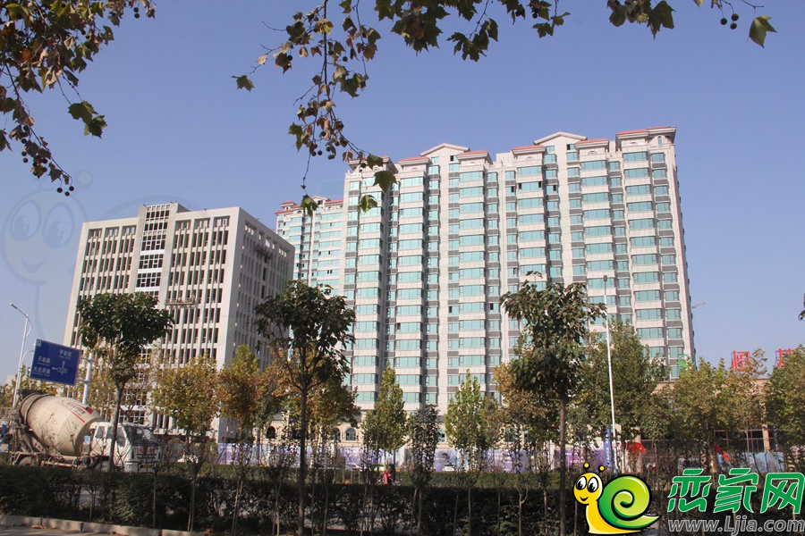 實(shí)景圖