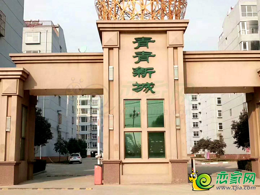 實(shí)景圖