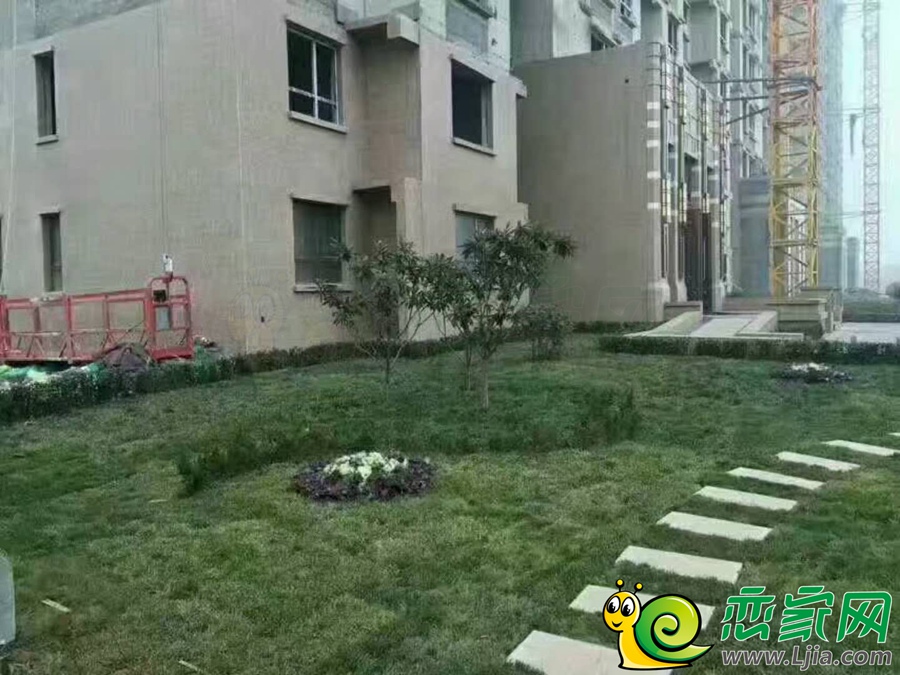 魏都花園項目實拍