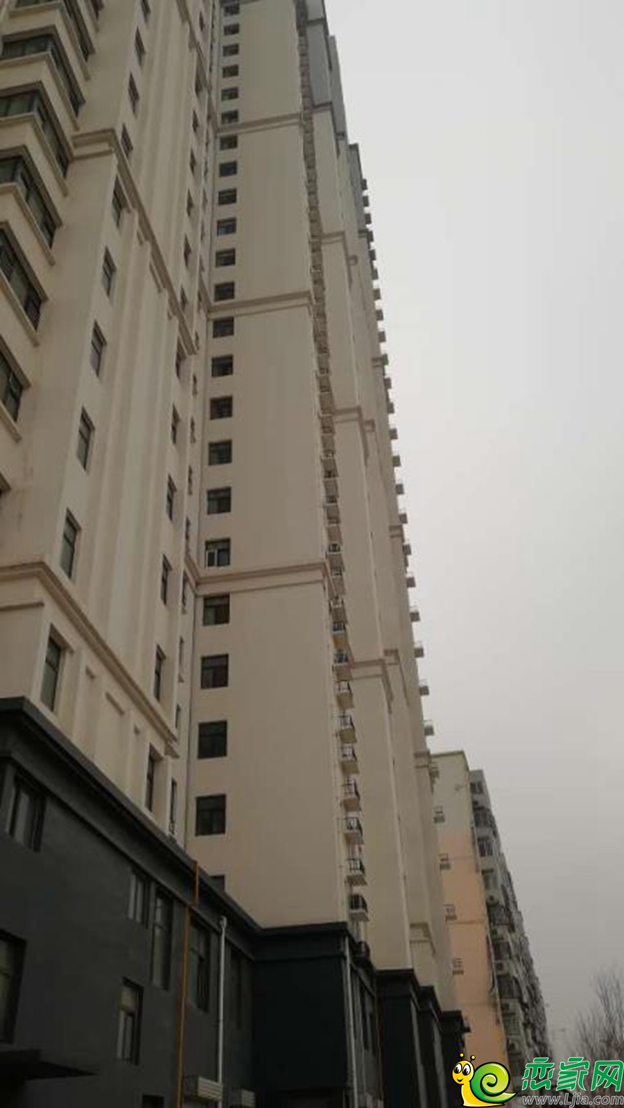 實(shí)景圖